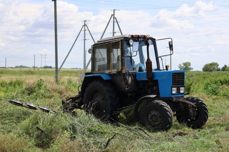 Свыше тонны дикорастущей конопли уничтожено в Токаревском районе